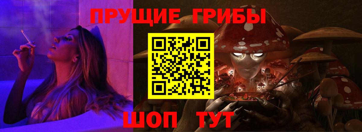 Псилоцибиновые грибы ЛСД  Вход с VPN  Псилоцибиновые грибы Psilocybine cubensis  Заводоуковск 