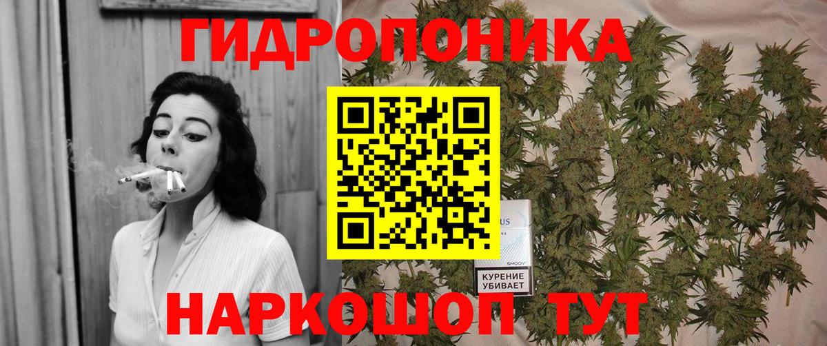 Канабис VHQ  Вход с VPN  Шишки марихуана VHQ  Заводоуковск 